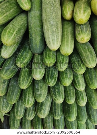 View of fresh cucumber kept on display for sale at a retail shop