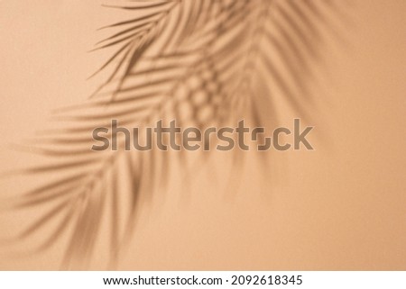 Shadows of tropical leaves of a palm tree on a brown background. Top view, flat lay.