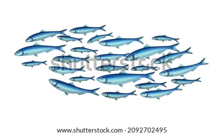Fish school colony realistic composition with isolated images of fishes in shoal on transparent background vector illustration