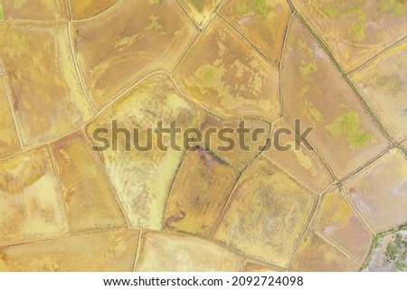 Aerial view of farmland prepared for the transplantation of paddy