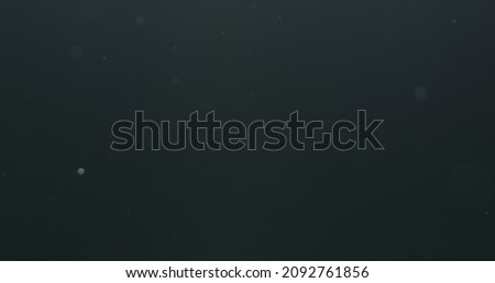 real dust particles floating in air over black background with sunset light