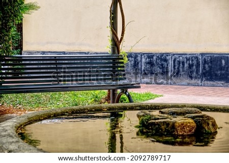 a bench in a public park in front of a goldfish pond. High quality photo