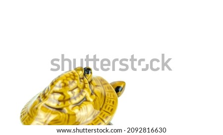 decorative turtle figurine on a white background