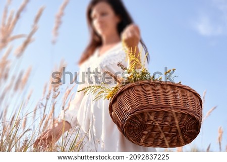 Woman harvests herbs into a basket, shot from below. Low angle, blurred silhouette. Herb concept