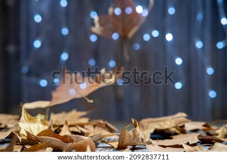 Autumn leaves flying with bokeh lights background