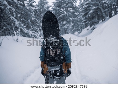 atmospheric photography of snow forest and snowboarding