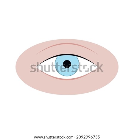 Human eye isolated on white, eye adult attractive, natural eyeball cornea, care science or fashion beauty. Vector illustration
