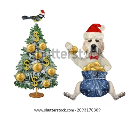 A dog labrador in a Santa Claus hat with a gift sack of gold dollar tied with a rope near the Christmas tree. White background. Isolated.