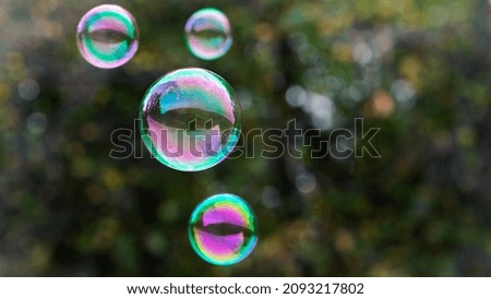 soap bubbles isolated on green background. four large soap bubbles float through the air against a blurred natural background. holiday concept, summer, childhood. multicolored balls close-up