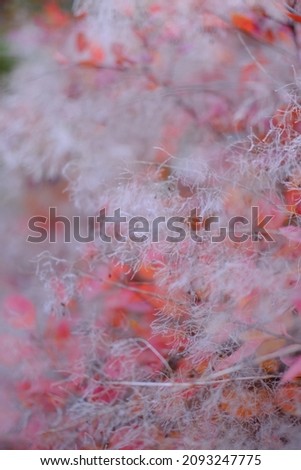 Nature abstract red bokeh blurred background defocused tree, nature .High quality vertical photo