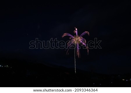 Mt.Fuji Fireworks Festival in Japan