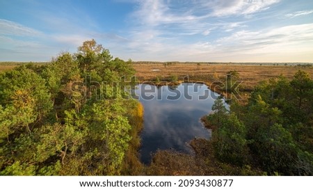 Aukštumala swamp - high swamp in Silutė district, Pomeranian region. It is one of the largest wetlands not only in Western Lithuania, but also in the whole of Lithuania. Amazing untouched nature. Royalty-Free Stock Photo #2093430877