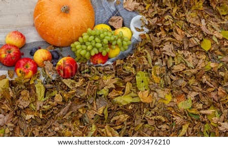 autumn composition fruit pumpkin flowers on the background of yellow leaves.