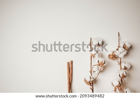 Pastel frame with dried branch of cotton flower  ad cinnamon on white background,m flat lay with copy space