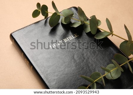 Holy Bible and eucalyptus branch on color background, closeup