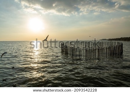 Selective focus of wooden sticks on the river with some seagulls flying over, and a sea wave and sunset as a background. The picture with copy space. Concept of nature beauty, seascape, sunset.