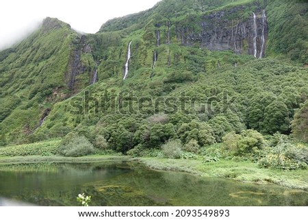 Famous Poco da Ribeira do Ferreiro waterfalls in the rainforest near, Faja Grande, Flores, Azores, Portugal