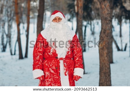 Ded Moroz with long white beard in winter forest.