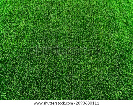 Green grass texture background grass garden concept used for making green background football pitch, Grass Golf, green lawn pattern textured background.	