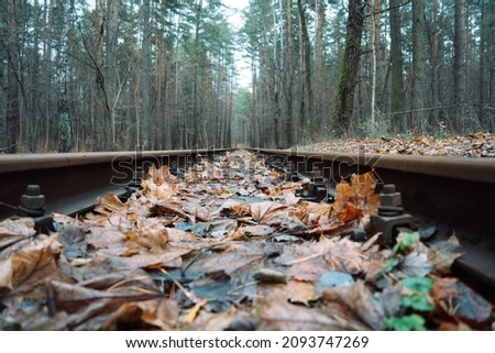 Close-up photo of an old wooden abandoned railway strewn with orange and yellow muddy autumn maple fallen leaves. Nature and fall concept.