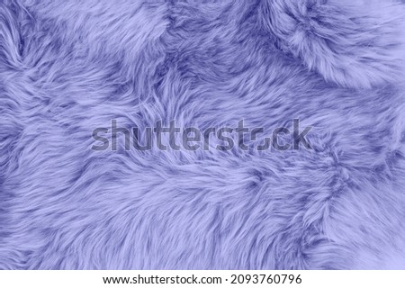 Very peri color sheep fur. Natural sheepskin rug background. Wool texture Royalty-Free Stock Photo #2093760796