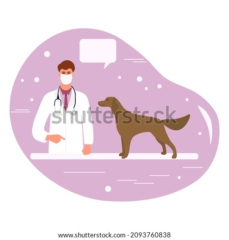 Vector illustration Visit to doctor with dog. Veterinary clinic hospital. Healthcare service. Vet checkup. Veterinarian examining dog. Vet doctor curing pets. Medical center for domestic animals