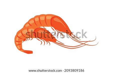 Flat shrimp, seafood. Vector illustration for the menu of fish restaurants, for packaging in markets and shops.
