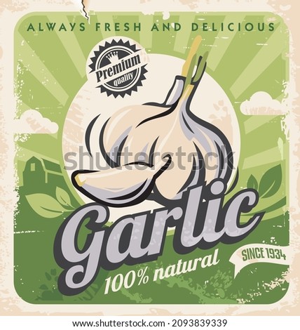 Garlic retro poster. Farm vegetables and fresh organic products vintage vector illustration on old paper texture. Royalty-Free Stock Photo #2093839339