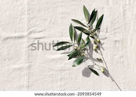 Olive branch with olive fruits on linen background. Mockup for concept of wellbeing, skincare, beauty or healthy lifestyle. Royalty-Free Stock Photo #2093854549