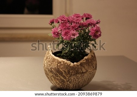 flowers in the vase beautiful for background