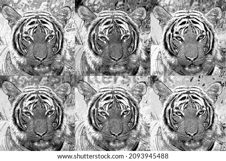 Tiger sign illustration pop-art background icon with color spots