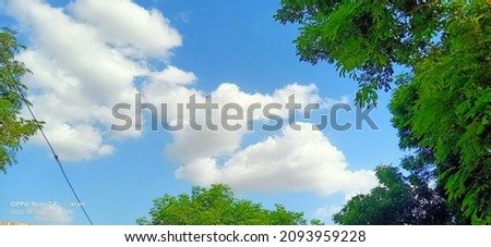 It is the cloud between two trees and it is a real nature thing ,bushes,clouds are relative due to best weather.it is the best picture around our world and it looks like a phrame.