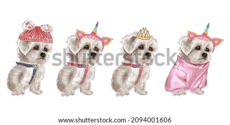 White dog set in New Year's outfits. Christmas pet. White lapdog. Bichon Frize. Maltese. Cute white puppy posing in front of the camera. The lapdog smiles. Nice dog. Illustration of a funny dog.