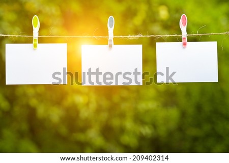 Blank pieces of paper hang on clothesline on green garden  background 