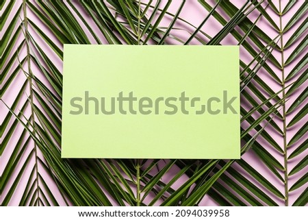 Blank card and palm leaves on color background