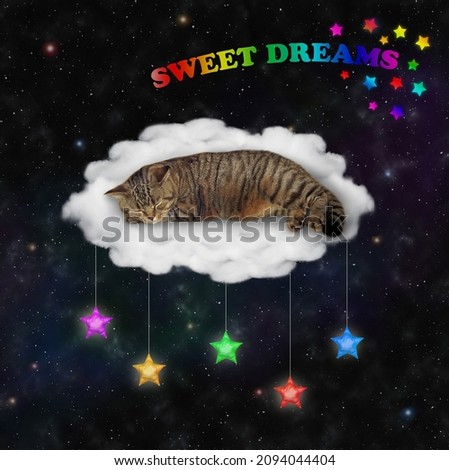 A beige cat sleeps on a cloud bed under the star night sky. Sweet dream.