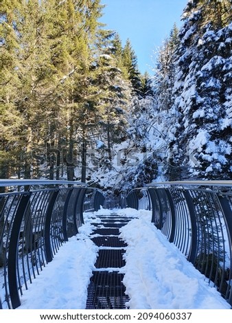 A metal Bridge leading over a frozen Waterfall into the snowy Forest
