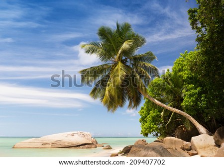 Tropical beach with coconut palm trees at Seychelles Islands