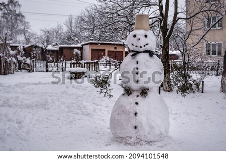 Strange snowman in the winter garden