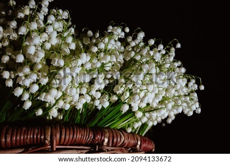 Postcard with copy space. Banner with large beautiful bouquet of white may-lily or lilies of the valley, packed in brown wicker basket and isolated on a black background. Business card of flower shop.