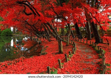 Aozora and autumn leaves in Morioka City, Iwate Prefecture Royalty-Free Stock Photo #2094142420
