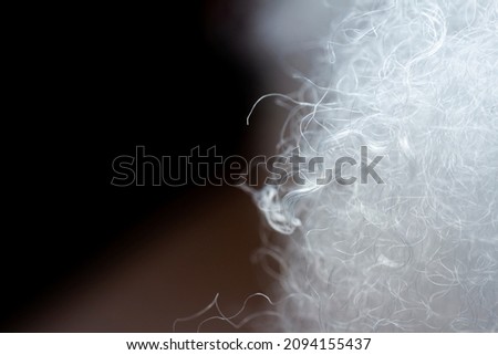 Extreme macro of polyester stable fiber. Selective focus, shallow depth of field. Royalty-Free Stock Photo #2094155437