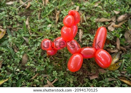 Kids toy balloon in the shape of a cute dog on the grass