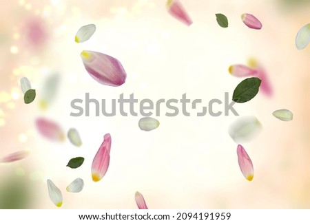 pink white and green flowers but and petal on pastel vintage festive template background for valentine and women day copy space 
