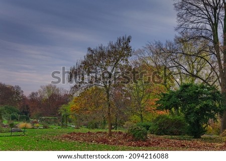 autumn in to the park