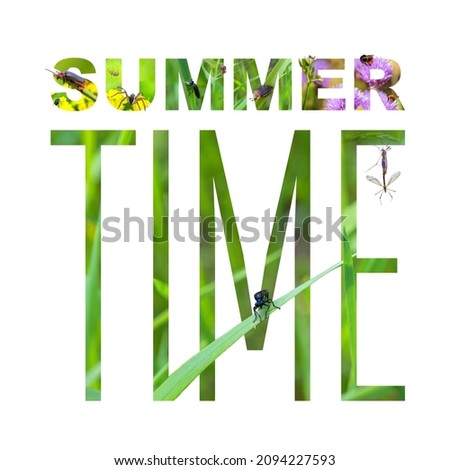 Summer time poster. A collage of photos on a summer theme. Element for advertisement. Design for unique poster, banner, etc.
