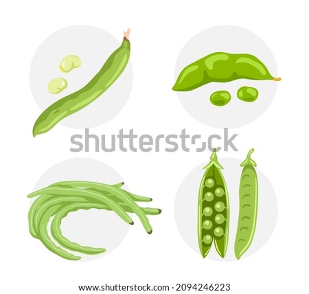 Snow peas, edamame soy beans, yardlong bean, fava beans. Legumes green vegetables, seeds. Flat vector hand drawn illustration. Royalty-Free Stock Photo #2094246223