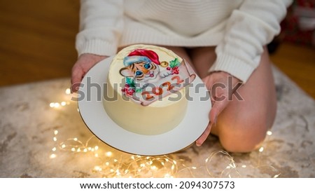 cake with a picture of a tiger and 2022. Cake in hands on the background of New Year's lights. Sponge cake with sour cream.