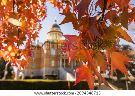Selective focus view of liquid amber leaves framing the historic courthouse of Auburn, California, USA. Royalty-Free Stock Photo #2094348715