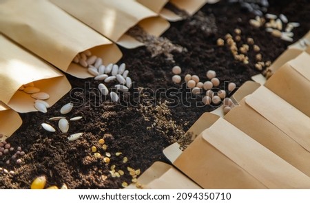 Seeds in bags on the soil. Selective focus. Nature. Royalty-Free Stock Photo #2094350710